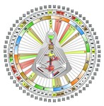 Дизайн Человека